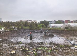 噶尔河道鱼塘清淤